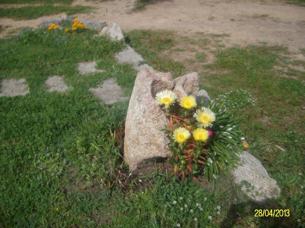 Agriturismo Spridda Bed & Breakfast Arzachena Exterior foto